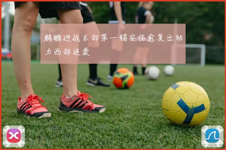 鹈鹕迎战东部第一锡安伤愈复出助力西部逆袭