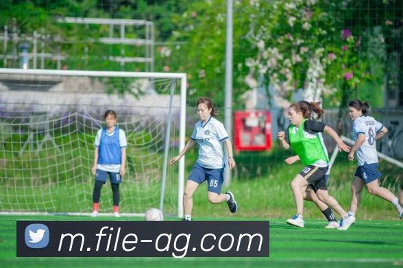 AG娱乐平台生态图